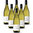 Trebbiano d'Abruzzo DOP Tollo Colle Cavalieri 6 bottles 75 cl.
