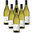 Pecorino Terre di Chieti IGP Colle Cavalieri 6 bottiglie 75 cl.