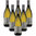 Cococciola Abruzzo DOP Cantina Tollo 6 bottles 75 cl.