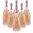 Espumante Venezia Rosè DOC Millesimato Astoria 6 botellas 75 cl.