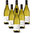 Chardonnay Terre di Chieti IGP Colle Cavalieri 6 bottles 75 cl.